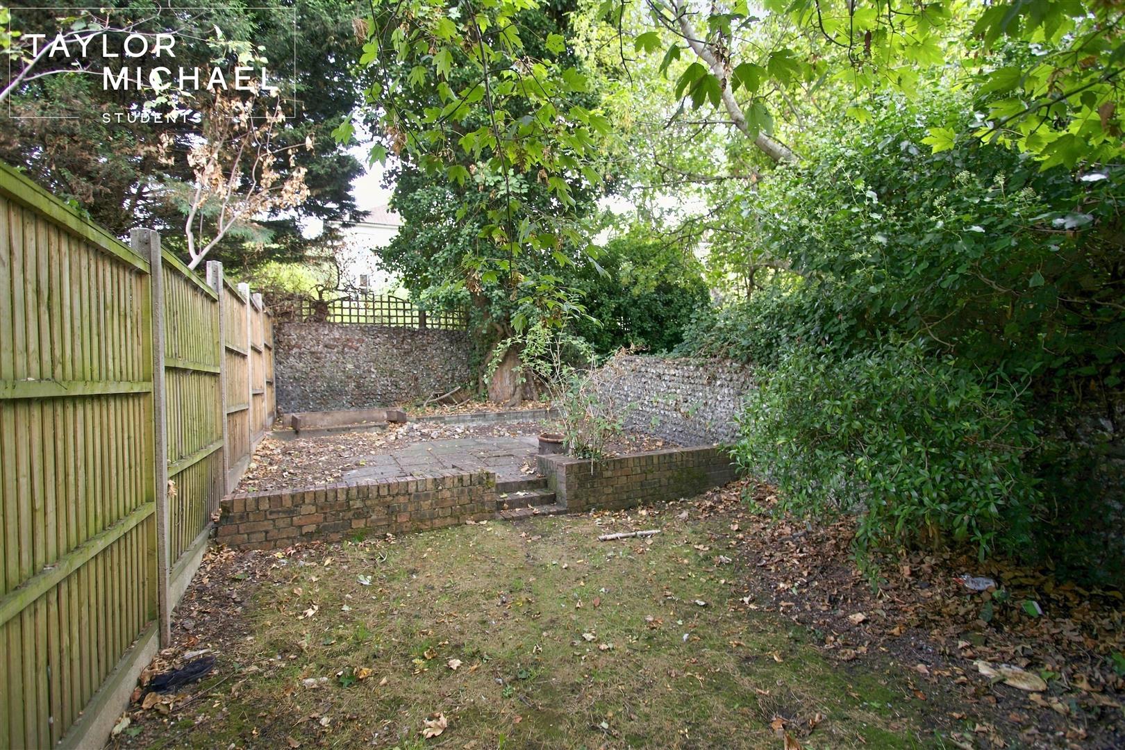 Back Garden